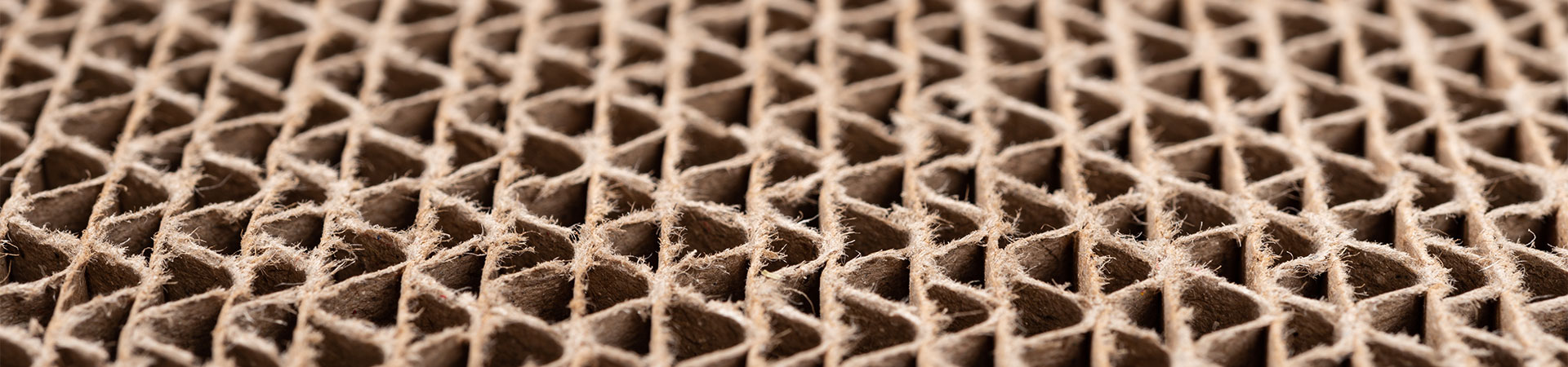 Faltkarton aus Wellpappe